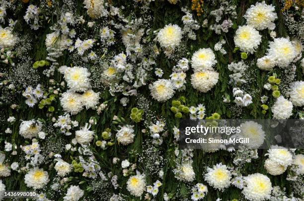 floral wall decoration of cut flowers including chrysanthemums, matricaria button flowers, gypsophilia (baby's breath), carnations and conifer scales - flower arrangement carnation ストックフォトと画像