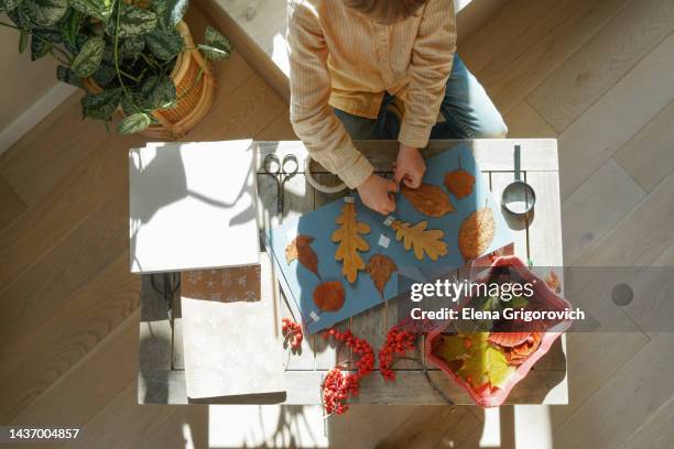 preschooler boy making herbarium from autumn leaves in brightly nook of room at the window - art and craft fotografías e imágenes de stock