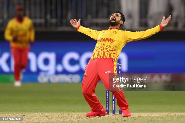 Sikandar Raza of Zimbabwe celebrates the wicket of Shadab Khan of Pakistan during the ICC Men's T20 World Cup match between Pakistan and Zimbabwe at...
