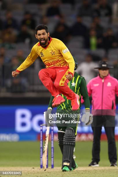 Sikandar Raza of Zimbabwe celebrates the wicket of Shan Masood of Pakistan during the ICC Men's T20 World Cup match between Pakistan and Zimbabwe at...