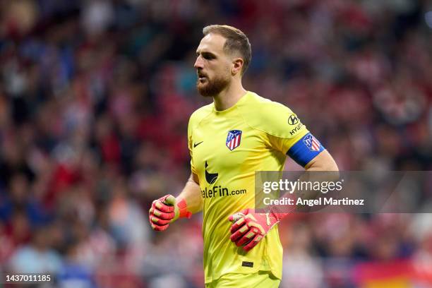 Jan Oblak of Atletico de Madrid looks on during the UEFA Champions League group B match between Atletico Madrid and Bayer 04 Leverkusen at Civitas...