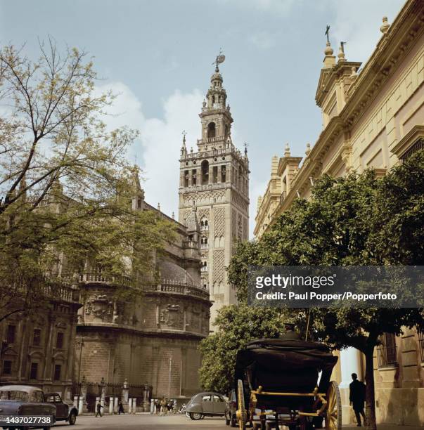 View from Plaza del Triunfo of Seville Cathedral and the Giralda bell tower in the centre of the city of Seville, capital of the province of Seville...