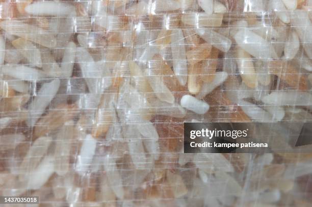 European Rice Pack Rice Pack Isolated Photos and Premium High Res Pictures - Getty Images