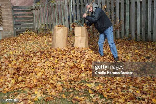 80 White Bagging Stock Photos, High-Res Pictures, and Images - Getty Images