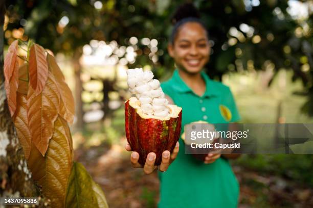 bauer zeigt eine offene kakaobohne in die kamera - cacao tree stock-fotos und bilder
