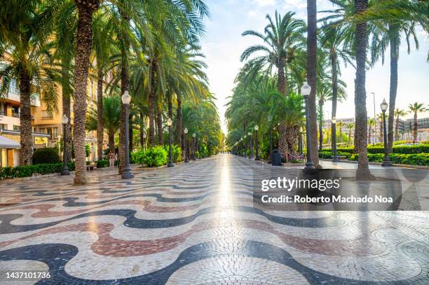 the esplanade, alicante, spain - kleinere sehenswürdigkeit stock-fotos und bilder