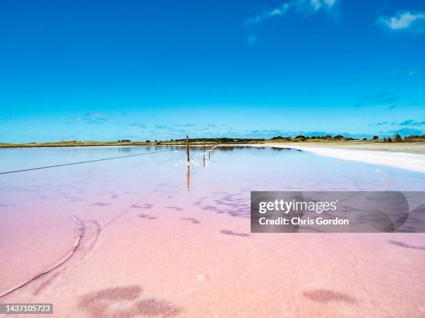 pink salt lake - südaustralien stock-fotos und bilder