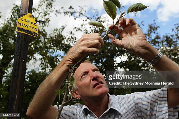 Lester Snare, a horticulturalist for the NSW Department of Primary Industries, holds a graft descended from Isaac Newton's original apple tree at the...