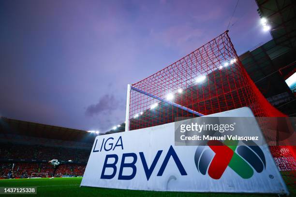 Detail of a Liga MX sign prior the final first leg match between Toluca and Pachuca as part of the Torneo Apertura 2022 Liga MX at Nemesio Diez...