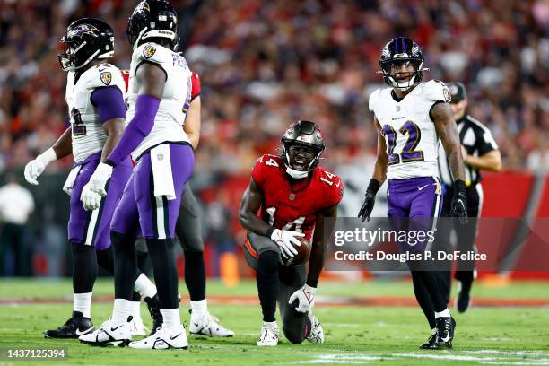 Chris Godwin of the Tampa Bay Buccaneers reacts after a reception against the Baltimore Ravens during the first quarter at Raymond James Stadium on...