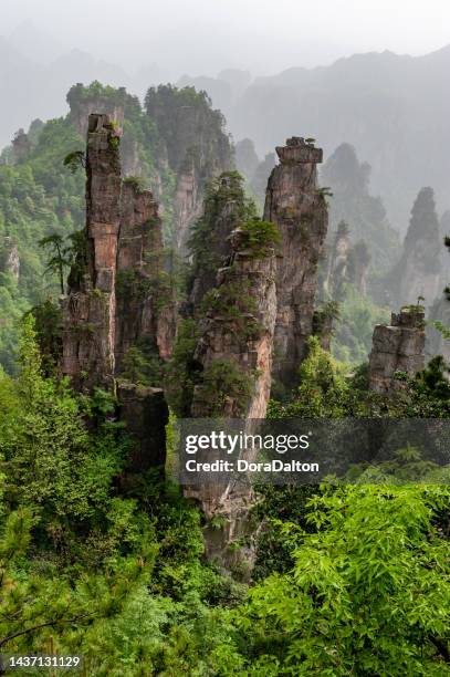 zhangjiajie national forest park, hunan, china wulingyuan district, zhangjiajie national forest park, hunan, china - zhangjiajie national forest park stock pictures, royalty-free photos & images