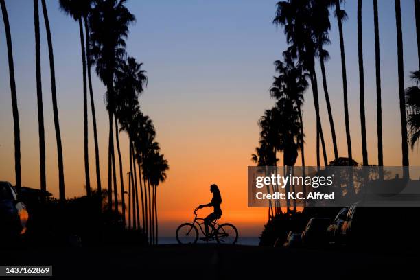 a young woman rides a beach cruiser at along a palm tree lined street at sunset. - long skinny legs foto e immagini stock