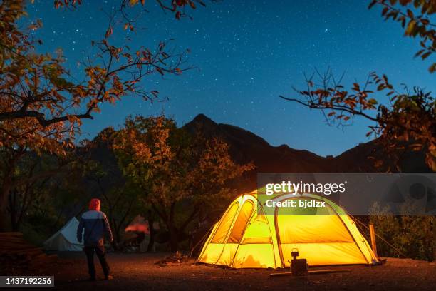 camper, die nachts zu den sternen neben dem camp aufschauen - astrofotografie stock-fotos und bilder