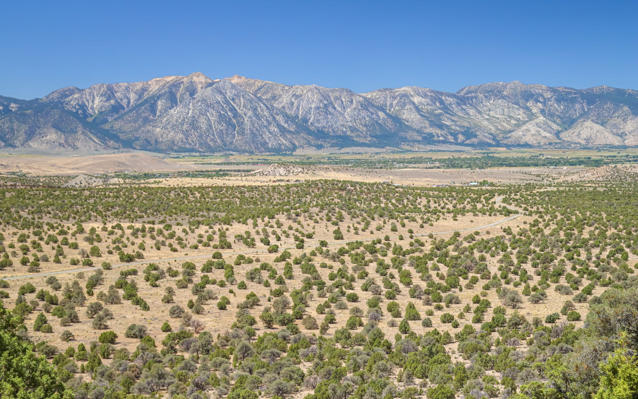 gardnerville