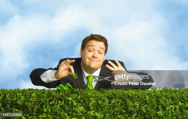 man cutting his hedge with great accuracy - hedge trimming stock pictures, royalty-free photos & images