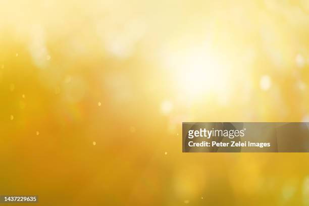 sunrise abstrack background - gelber hintergrund stock-fotos und bilder