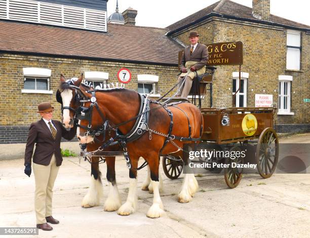 Shire horses and a carriage at Young's Brewery on September 4,2021 in London, England. They where used from 1831 to move several tons of beer around...