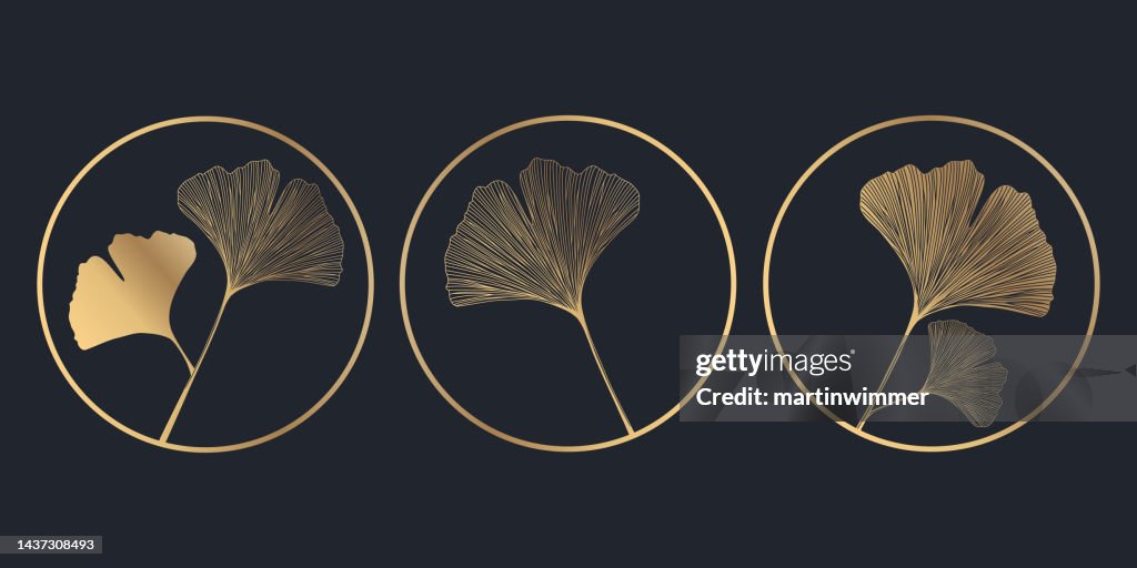 Einfaches Zeichnen von goldenen Ginkgoblättern
