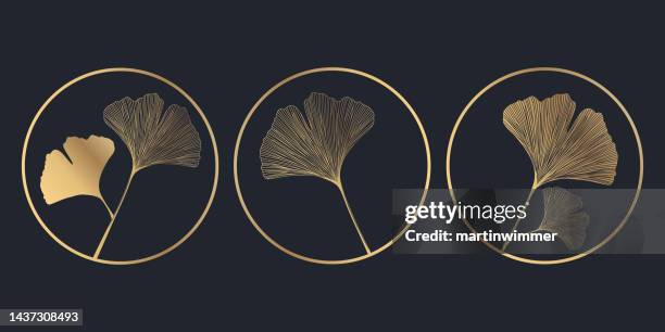 simple drawing of golden ginkgo leaves - martinwimmer stock illustrations