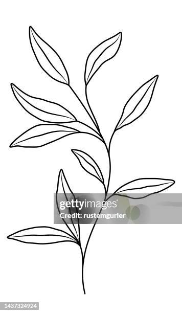 wildblumen auf weißem hintergrund - eukalyptus baum stock-grafiken, -clipart, -cartoons und -symbole