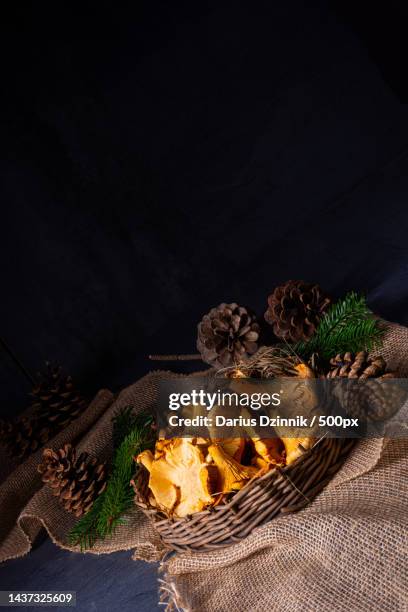 high angle view of pine cones on table - wald frühling stock pictures, royalty-free photos & images