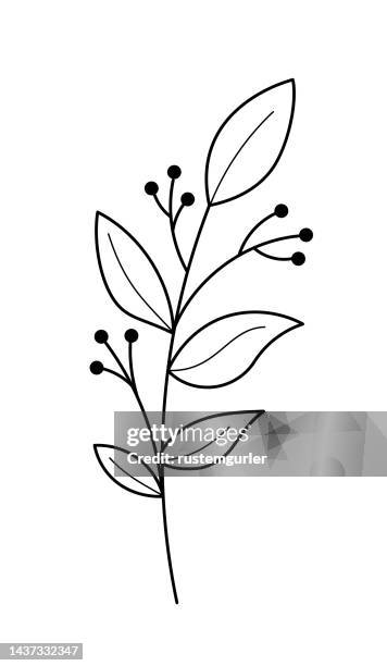 wildflowers on white background - eucalyptus wreath stock illustrations
