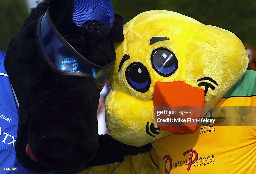  Crazee Horse from Ipswich Town and Captain Canary from Norwich City wait to run in the