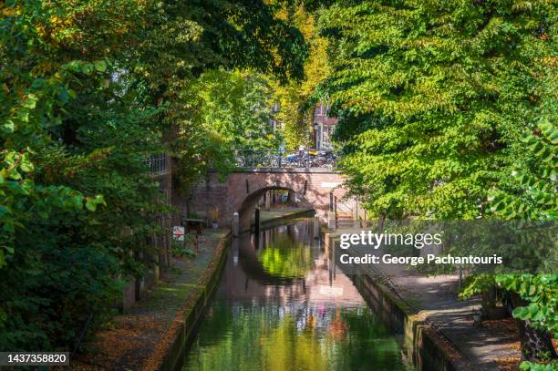canal covered with trees in utrecht, netherlands - utrecht stock pictures, royalty-free photos & images