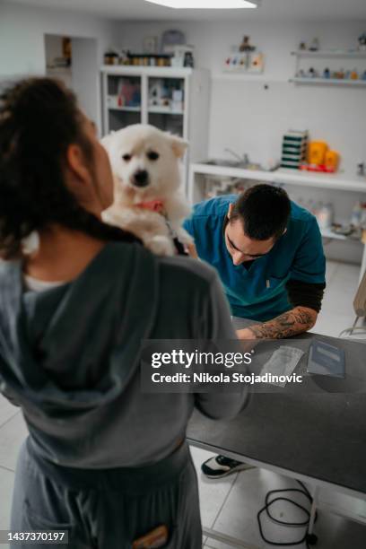 vet with dog and owner - human castration photo stock pictures, royalty-free photos & images