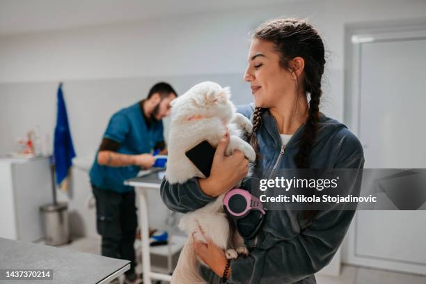 vet with dog and owner - castration stockfoto's en -beelden
