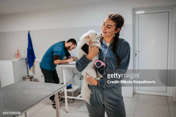 woman with dog at vet - human castration photo stock pictures, royalty-free photos & images