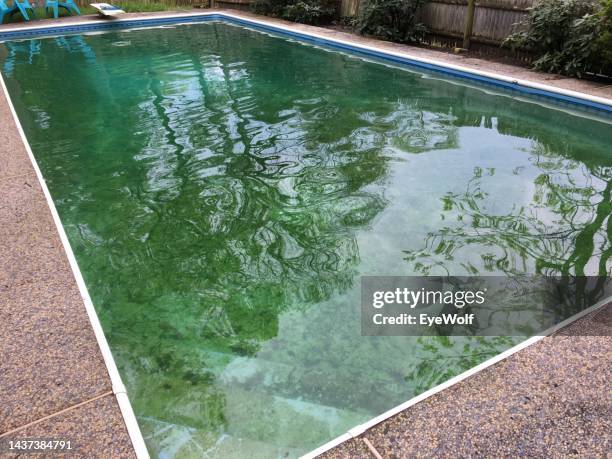 Slug Pool Sludge Water Photos and Premium High Res Pictures - Getty Images