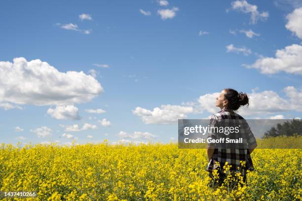 young woman standing in a field of canola. - canola stock pictures, royalty-free photos & images
