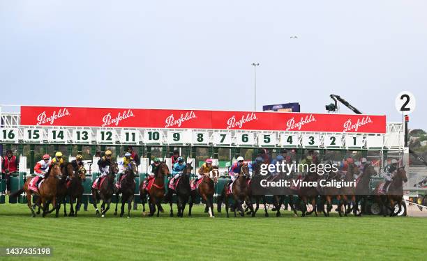 Michael Dee riding Manzoice jumps out of barrier eight at the start before winning Race 7, the Penfolds Victoria Derby, during 2022 Penfolds Victoria...