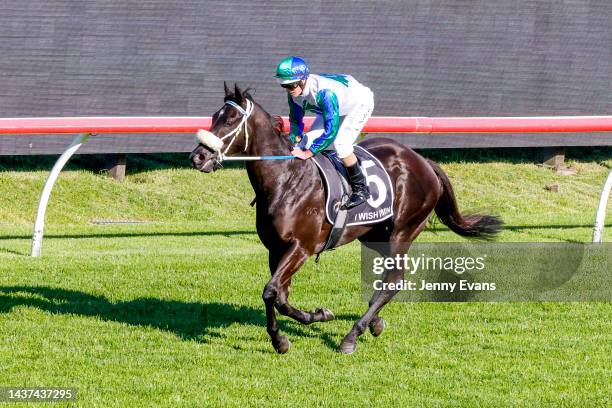 Luke Nolen on I Wish I Win makes his way to the barriers ahead of race 8 the Xxxx Golden Eagle during Sydney Racing at Rosehill Gardens on October...