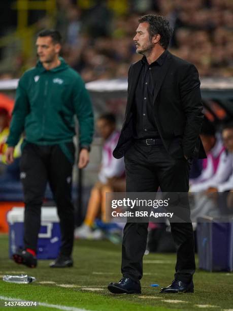 Coach Carl Hoefkens of Club Brugge KV looks on during the Group B - UEFA Champions League match between Club Brugge KV and FC Porto at the Jan...