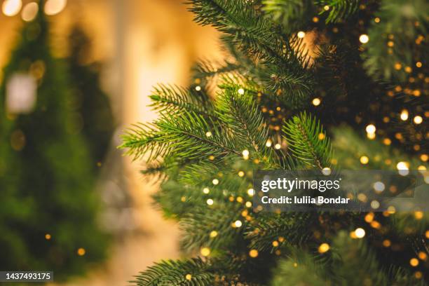 christmas tree background - árbol de navidad fotografías e imágenes de stock