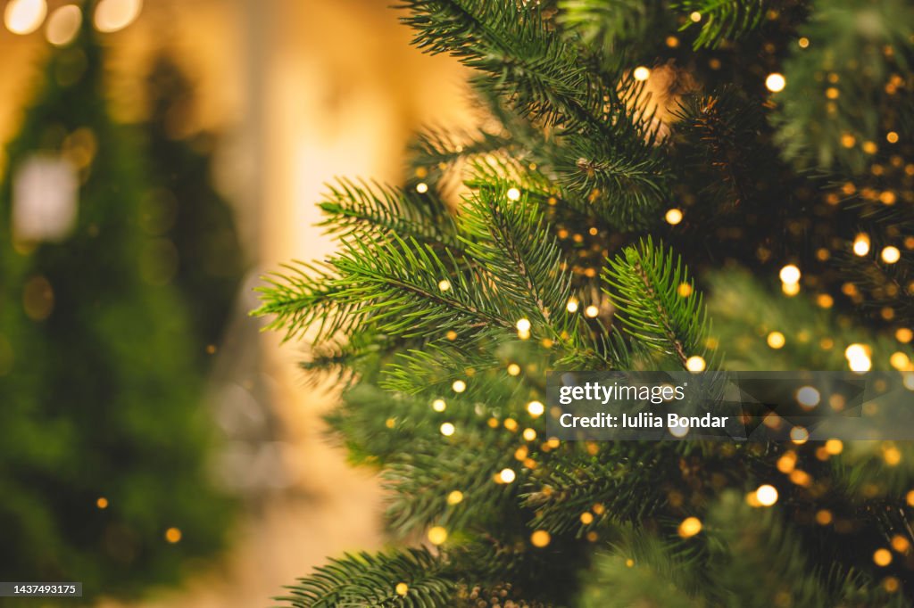 Christmas tree background
