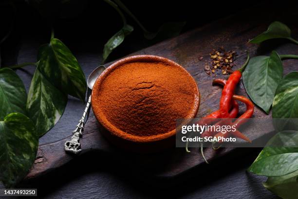 chilli powder - cooking indian food stock pictures, royalty-free photos & images