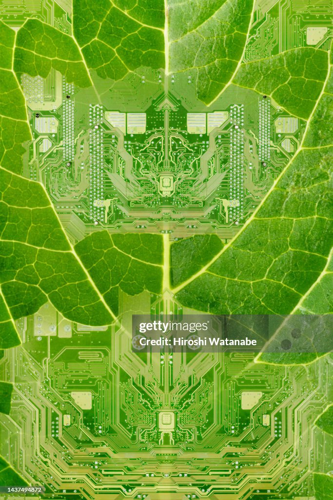 Circuit board growing on leaves