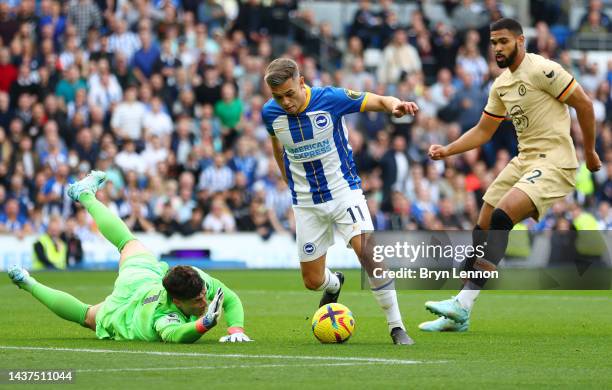 Leandro Trossard of Brighton & Hove Albion runs with the ball past Kepa Arrizabalaga of Chelsea during the Premier League match between Brighton &...