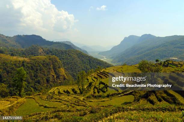 terraced fields in ghandruk village during midday at springtime , nepal - nepal pokhara stock pictures, royalty-free photos & images