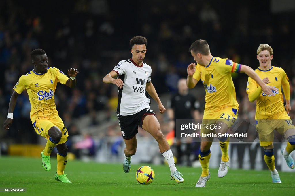 Fulham FC v Everton FC - Premier League