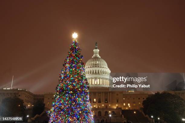 capitol christmas tree in the snow - capitol christmas tree stockfoto's en -beelden