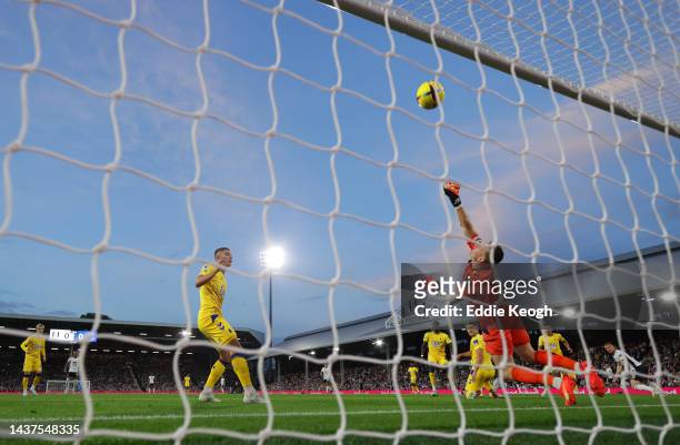 Willian of Fulham takes a shot on goal which is saved by Jordan Pickford of Everton during the Premier League match between Fulham FC and Everton FC...