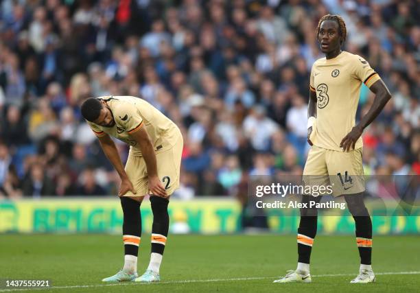 Ruben Loftus-Cheek and Trevoh Chalobah of Chelsea react during the Premier League match between Brighton & Hove Albion and Chelsea FC at American...