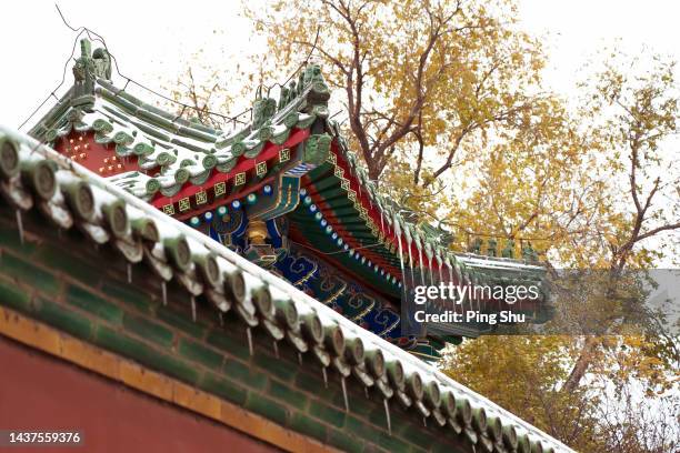 buildings in the forbidden city - 北京 stock pictures, royalty-free photos & images