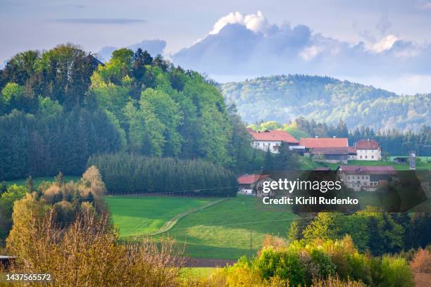 rolling landscape in bavaria, germany - bavarian forest stock pictures, royalty-free photos & images