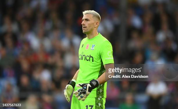 Vicente Guaita of Crystal Palace looks on during the Premier League match between Crystal Palace and Southampton FC at Selhurst Park on October 29,...