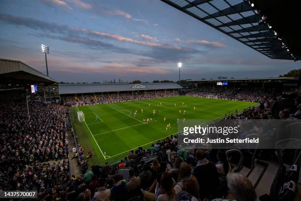 General view during the Premier League match between Fulham FC and Everton FC at Craven Cottage on October 29, 2022 in London, England.